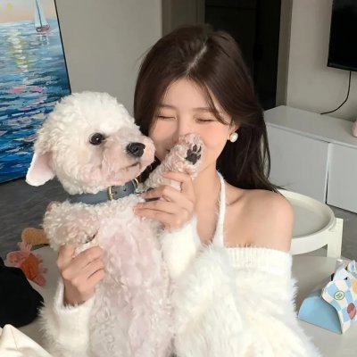 纽约客的故事