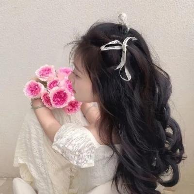 夏绿蒂的网2 韦柏历险记